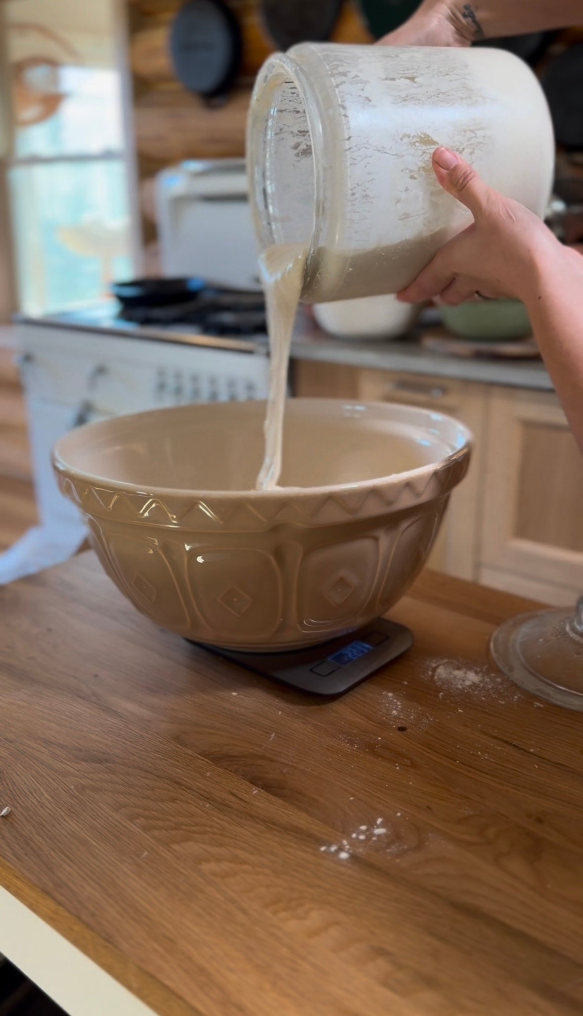 June Sourdough Starter
