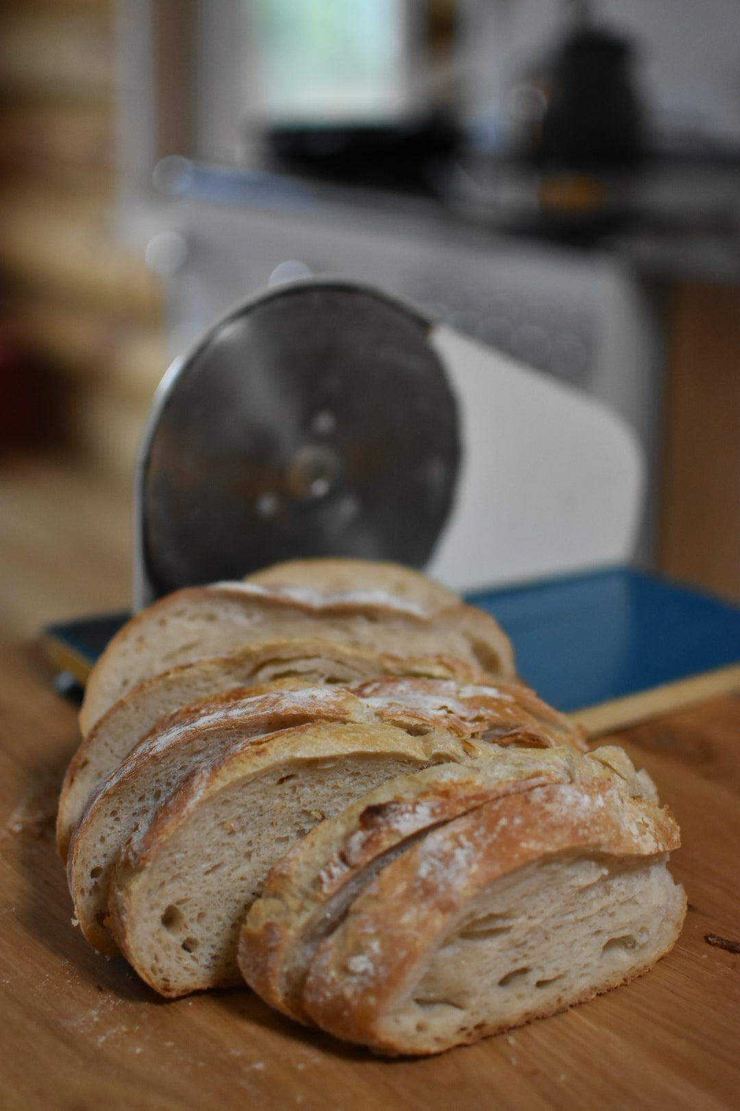 June Sourdough Starter