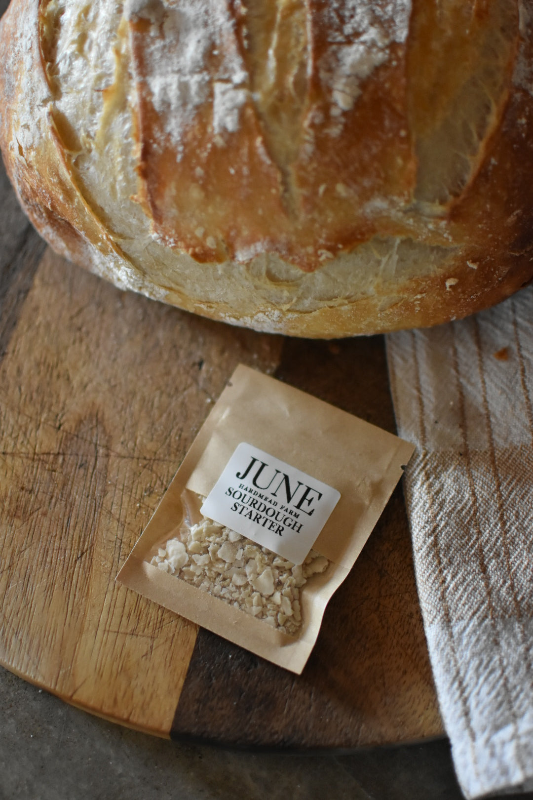 June Sourdough Starter