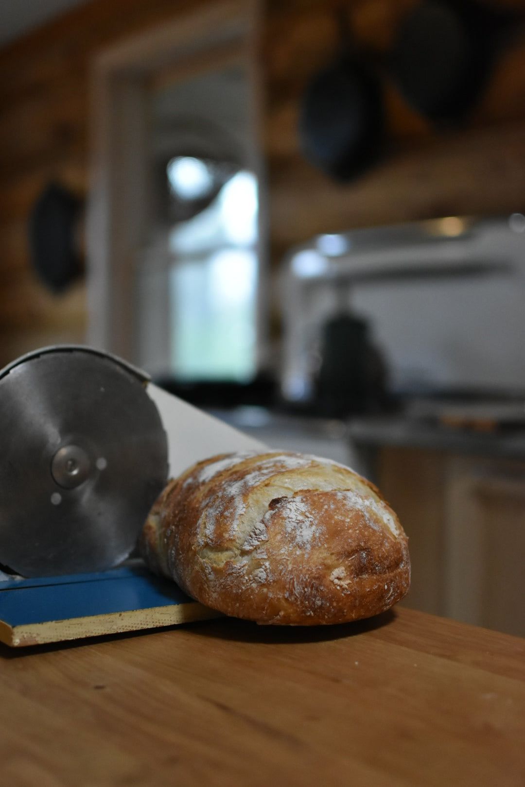 June Sourdough Starter