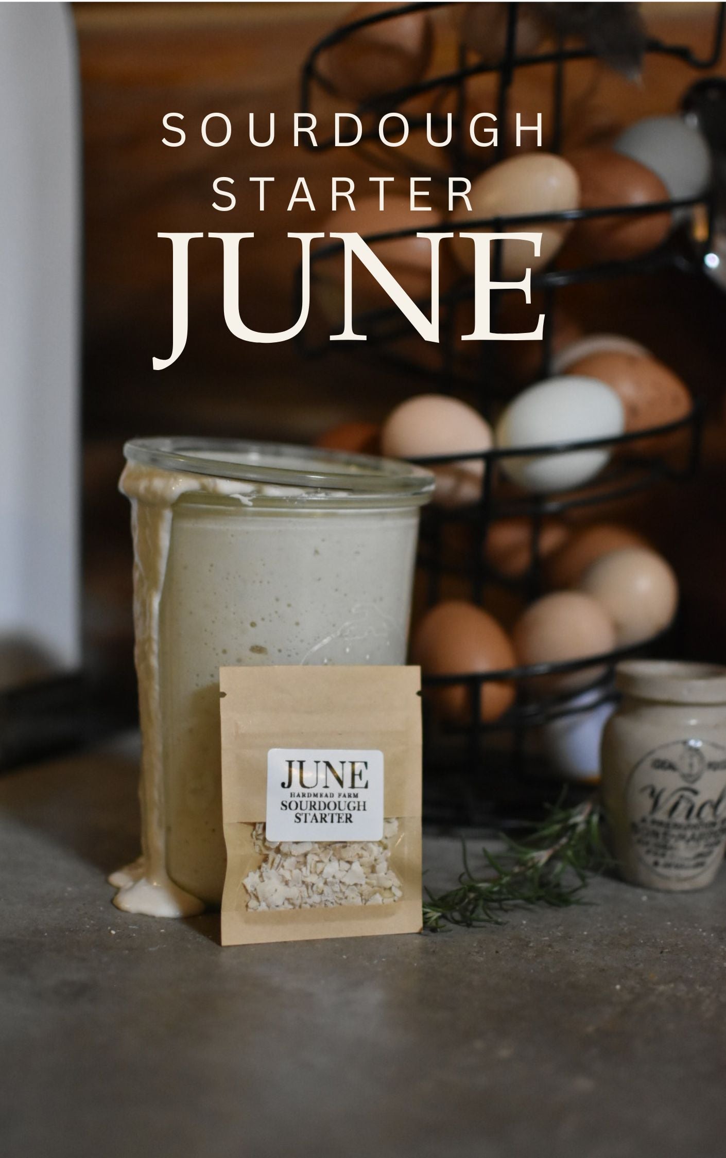 June Sourdough Starter