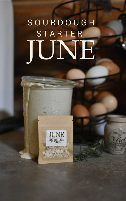 June Sourdough Starter